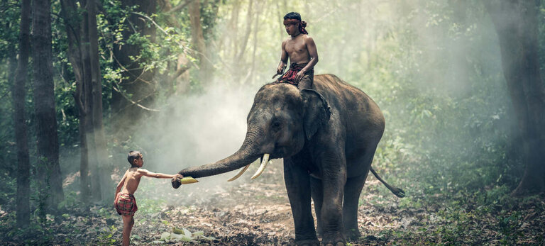 Elephant_ride
